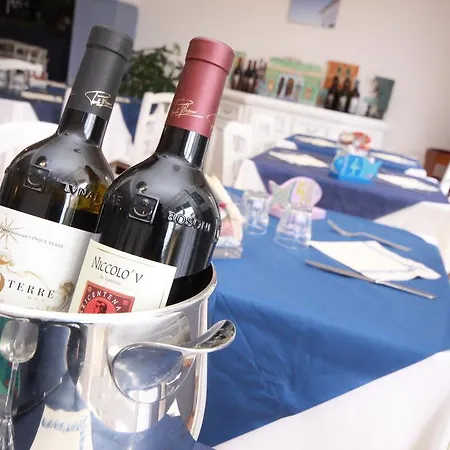 Eva La Romantica 莫内利亚