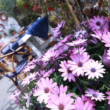 酒店 Eva La Romantica