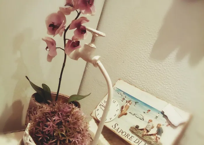 Eva La Romantica 2*